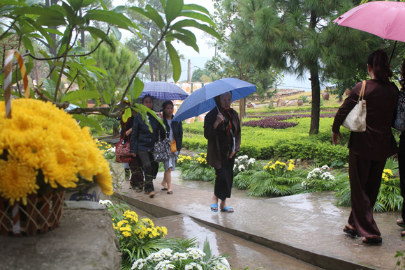 Lễ hội hoa c&uacute;c rực rỡ ở Quảng Ninh